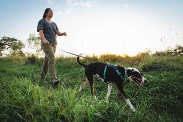 Ruffwear Hi & Light Harness Basalt Gray Gr. L/XL